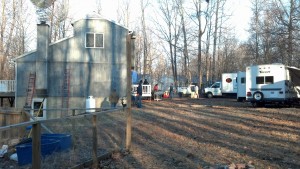 A group of rvs parked in a wooded area.